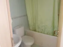 Miniaturka