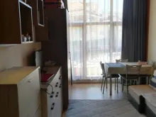Miniaturka