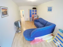 Miniaturka