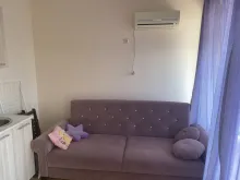 Miniaturka