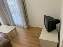 Miniaturka
