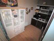 Miniaturka