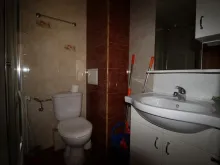 Miniaturka