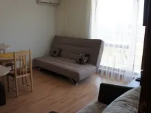 Miniaturka