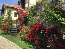 Miniaturka