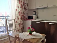 Miniaturka