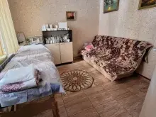 Miniaturka
