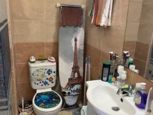Miniaturka
