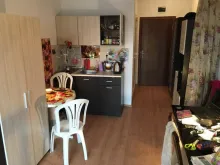 Miniaturka