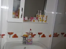 Miniaturka