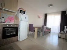 Miniaturka