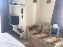 Miniaturka