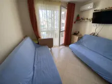 Miniaturka