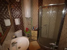 Miniaturka