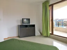 Miniaturka