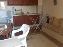 Miniaturka