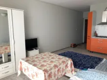 Miniaturka