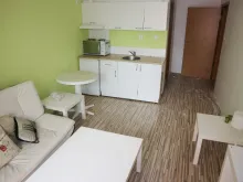 Miniaturka