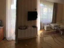 Miniaturka