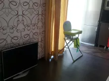 Miniaturka