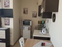 Miniaturka
