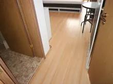 Miniaturka