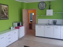 Miniaturka