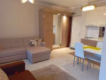 Miniaturka
