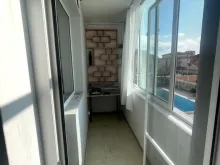 Miniaturka