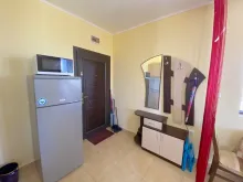 Miniaturka