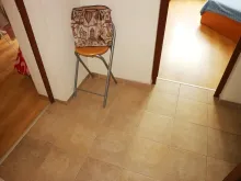 Miniaturka