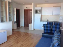 Miniaturka