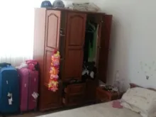 Miniaturka