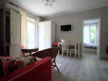 Miniaturka
