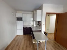 Miniaturka