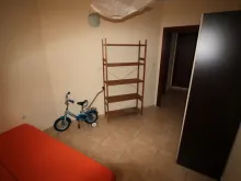 Miniaturka
