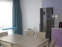 Miniaturka