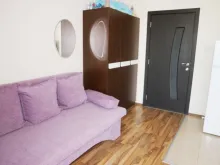 Miniaturka