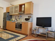 Miniaturka