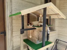 Miniaturka