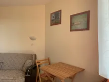 Miniaturka