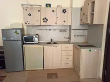 Miniaturka