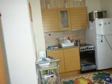 Miniaturka