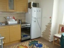 Miniaturka