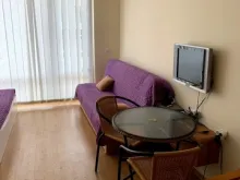 Miniaturka