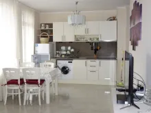 Miniaturka