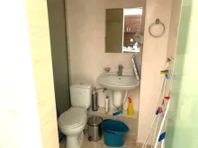 Miniaturka