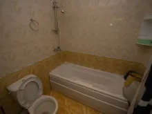 Miniaturka