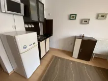 Miniaturka