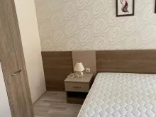 Miniaturka